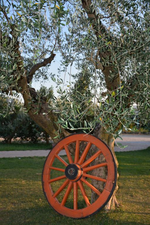 La Piana Dell'erika Bauernhof Aprilia